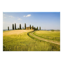 Italy, Tuscany, Tuscan Villa nearing Harvest. Photo Print