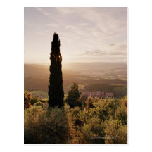 Italy,Tuscany,Val d'Orcia,Montalcino Post Cards