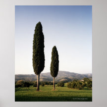 Italy,Tuscany,Val d'Orcia Poster