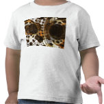 Iterate Imagery Mysterium Mathmatica Tee 2
