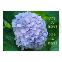 It's a Boy! Baby Shower Invitations Blue Flowers Card