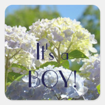 It's a Boy! stickers Blue Hydrangea Flowers