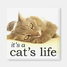 It's a Cat's Life - Magnet