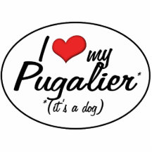It's a Dog! I Love My Pugalier Acrylic Cut Outs