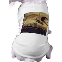 its a lazy day dog t shirt