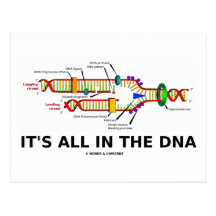It's All In The DNA Post Card