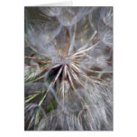 It's All In The Seed Greeting Card