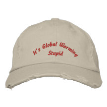 Its Global Warming Stupid Embroidered Hat