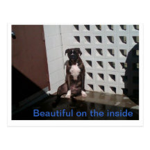 Its what's on the inside postcards