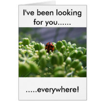 I've been looking for you cards