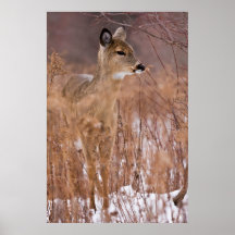I've Got My Eye On You Posters
