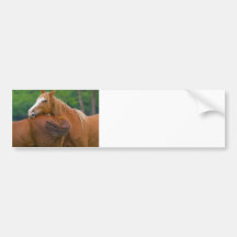 I've Got Your Back Bumper Stickers