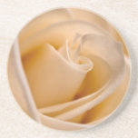 Ivory Rose Drink Coaster