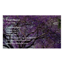 Jacaranda tree in spring bloom flowers business card template