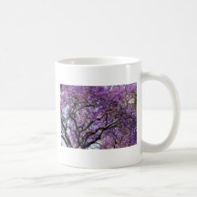 Jacaranda tree in spring bloom flowers coffee mug