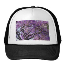 Jacaranda tree in spring bloom flowers trucker hats