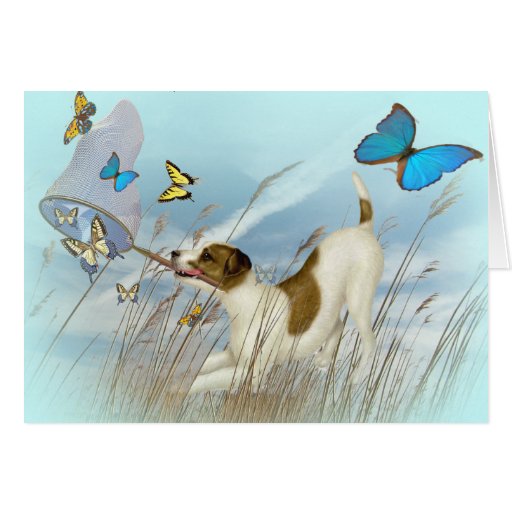Jack Russell Chases Butterflies Cards