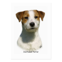 Jack Russell T errier 9M097D-047 Business Card