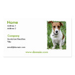 Jack Russell Terrier Business Card