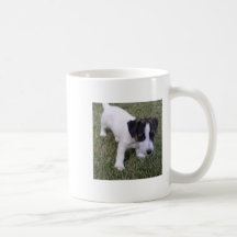 jack russell terrier coffee mugs