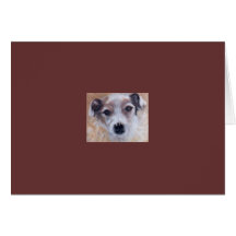Jack Russell Terrier Greeting Cards
