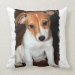 Jack Russell Terrier Pillow