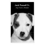 Jack Russell Terrier Puppy Business Card