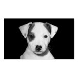 Jack Russell Terrier Puppy Business Card