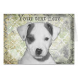 Jack Russell Terrier Puppy Cards