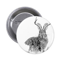 Jackalope Pinback Button