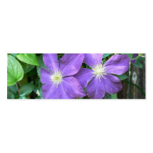 Jackmanii Clematis Business Card Template