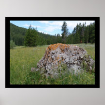 Jackson Hole, Wyoming Posters