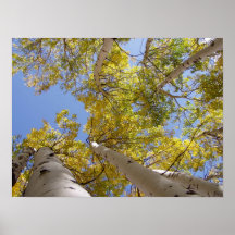 Jackson Hole Wyoming Series Print