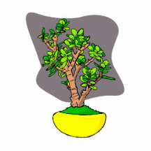 Jade Bonsai in Yellow Pot Photo Cutouts