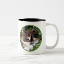 Jade Eyed Beauty Cat Mug