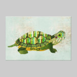 Jade Turtle Canvas canvas prints