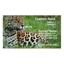 Jaguar Cat Business Card