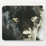 Jaguar Eyes Mouse Pad