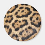 Jaguar Fur Photo Print Fridge Magnet
