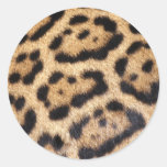 Jaguar Fur Photo Print Sticker