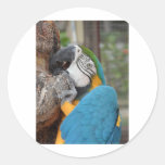 Jamaica Parrot Round Stickers