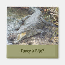 Jamaican Salt Water Crocodile Fridge Magnets