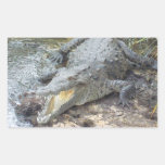 Jamaican Salt Water Crocodile Stickers