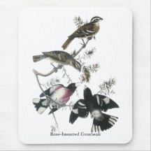 James Aubudon Rose-breasted Grosbeak Mousepad