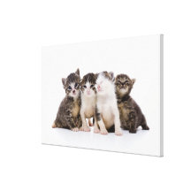 Japanese cat gallery wrap canvas