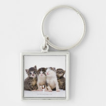 Japanese cat key chains
