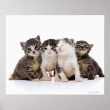 Japanese cat print