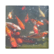 Japanese Koi Fish Magnets