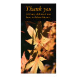 Japanese Maple (1) - Thank You Customised Photo Card