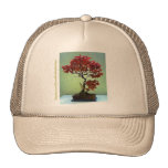 Japanese Maple Hat